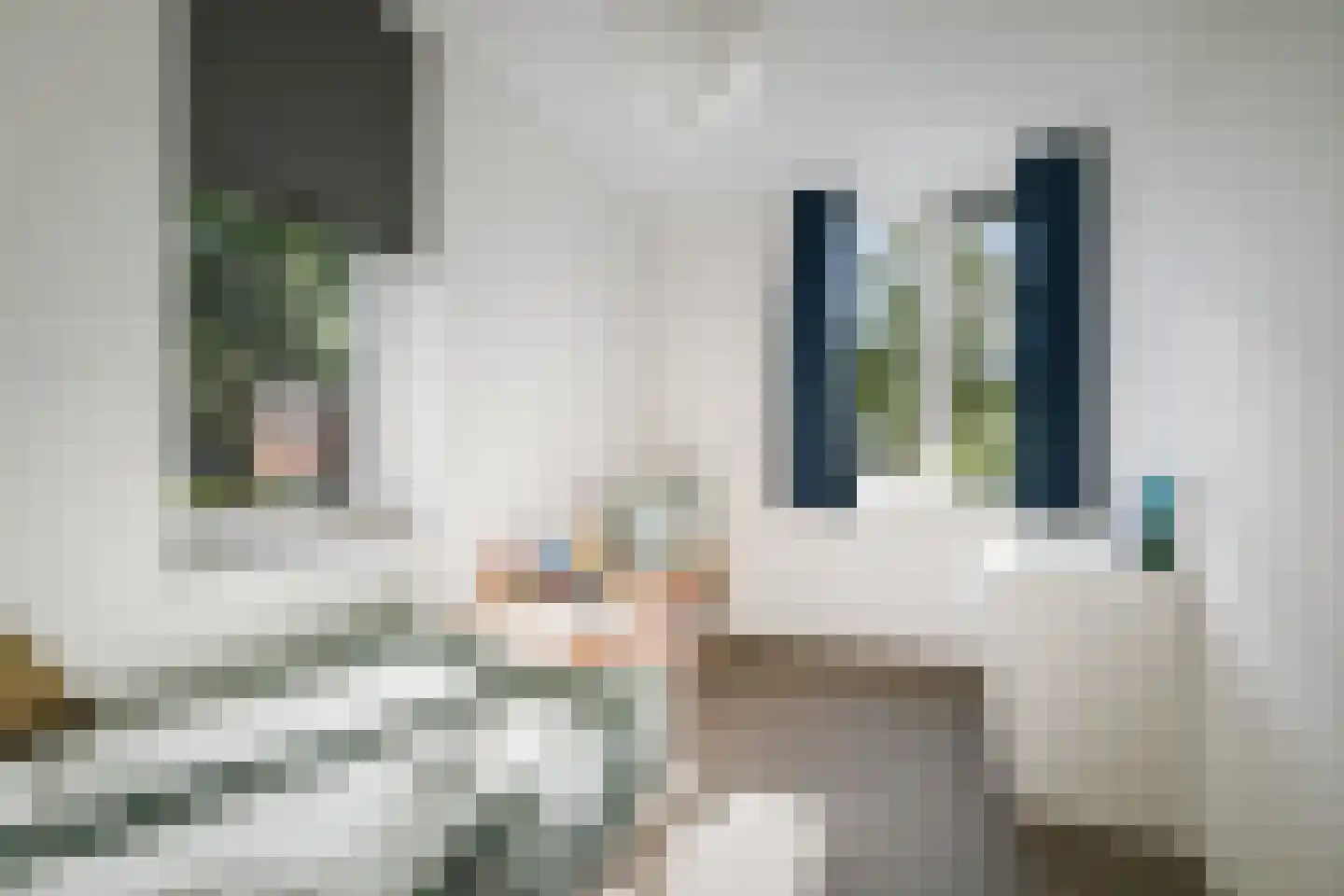 Schipbeekstraat 31 Deventer thumbnail 19