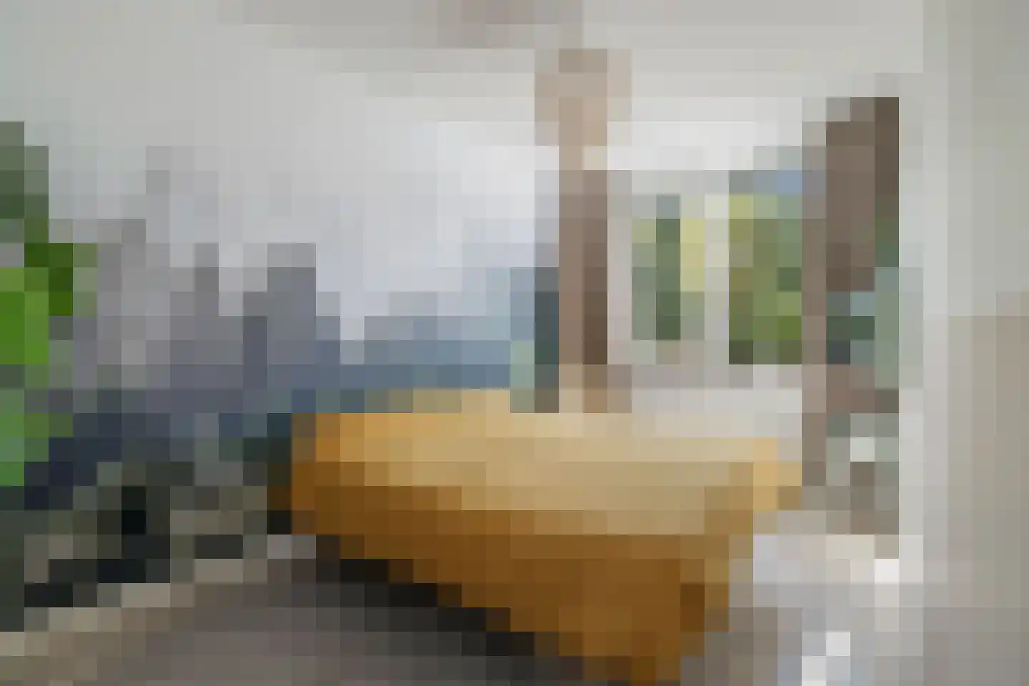 Schipbeekstraat 32 Deventer thumbnail 17