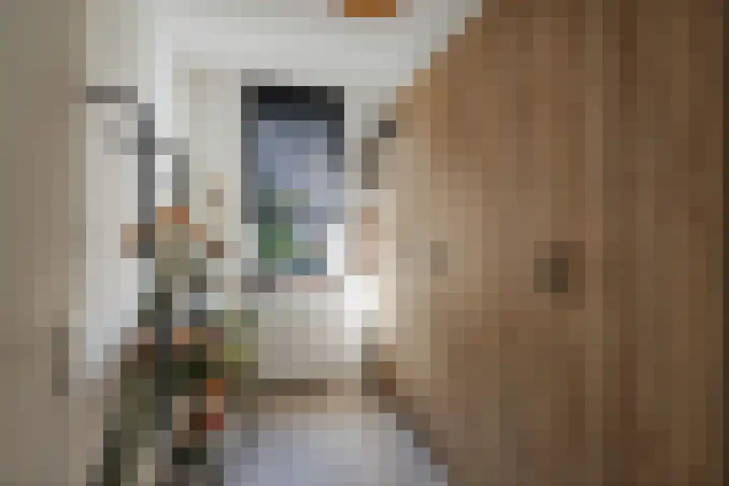 Schipbeekstraat 32 Deventer thumbnail 18