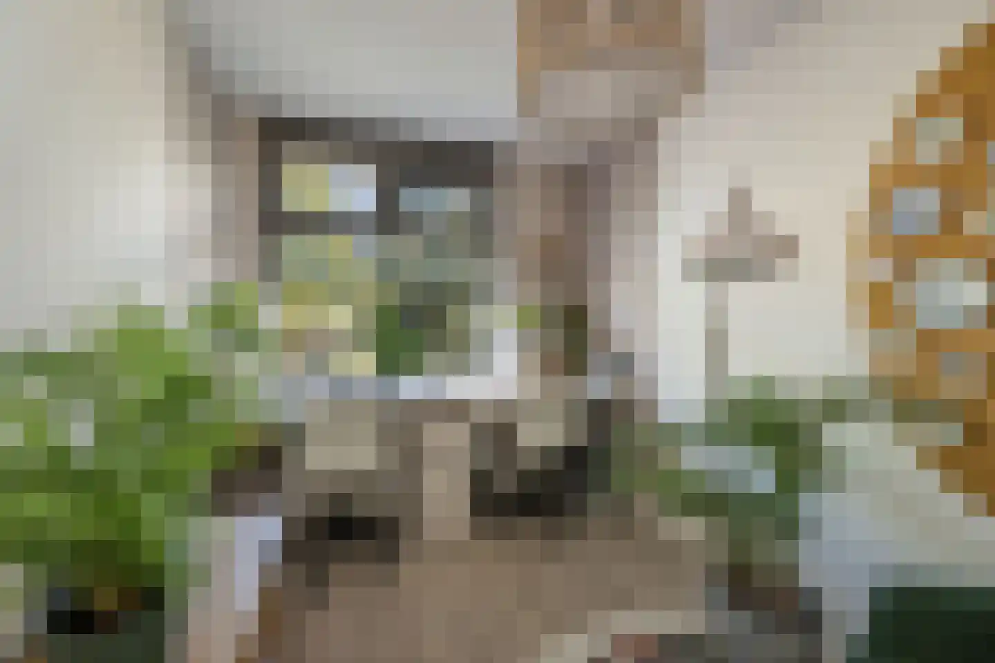 Schipbeekstraat 32 Deventer thumbnail 19
