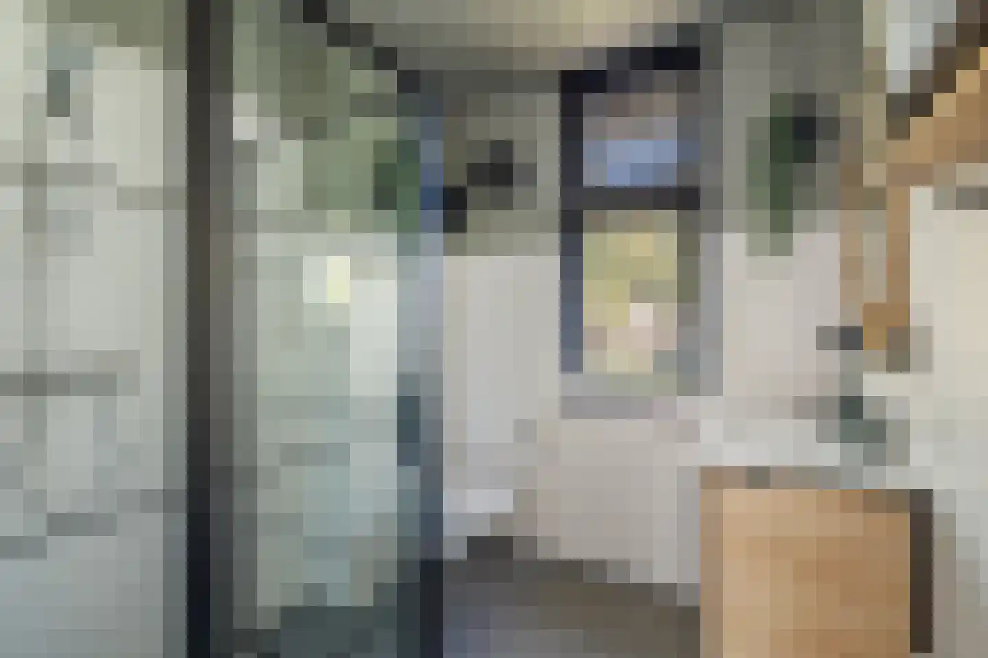 Schipbeekstraat 32 Deventer thumbnail 21