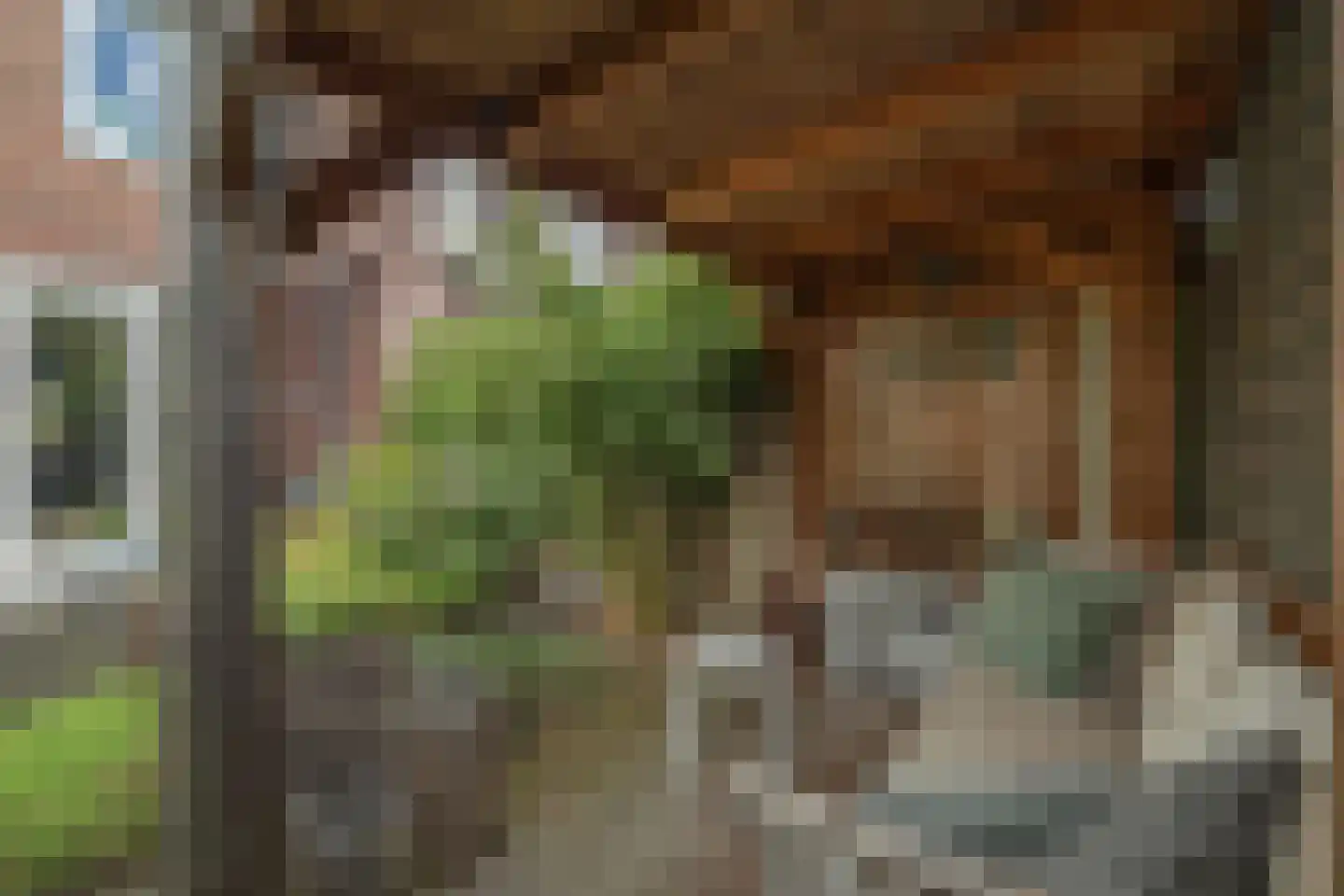 Schipbeekstraat 32 Deventer thumbnail 30