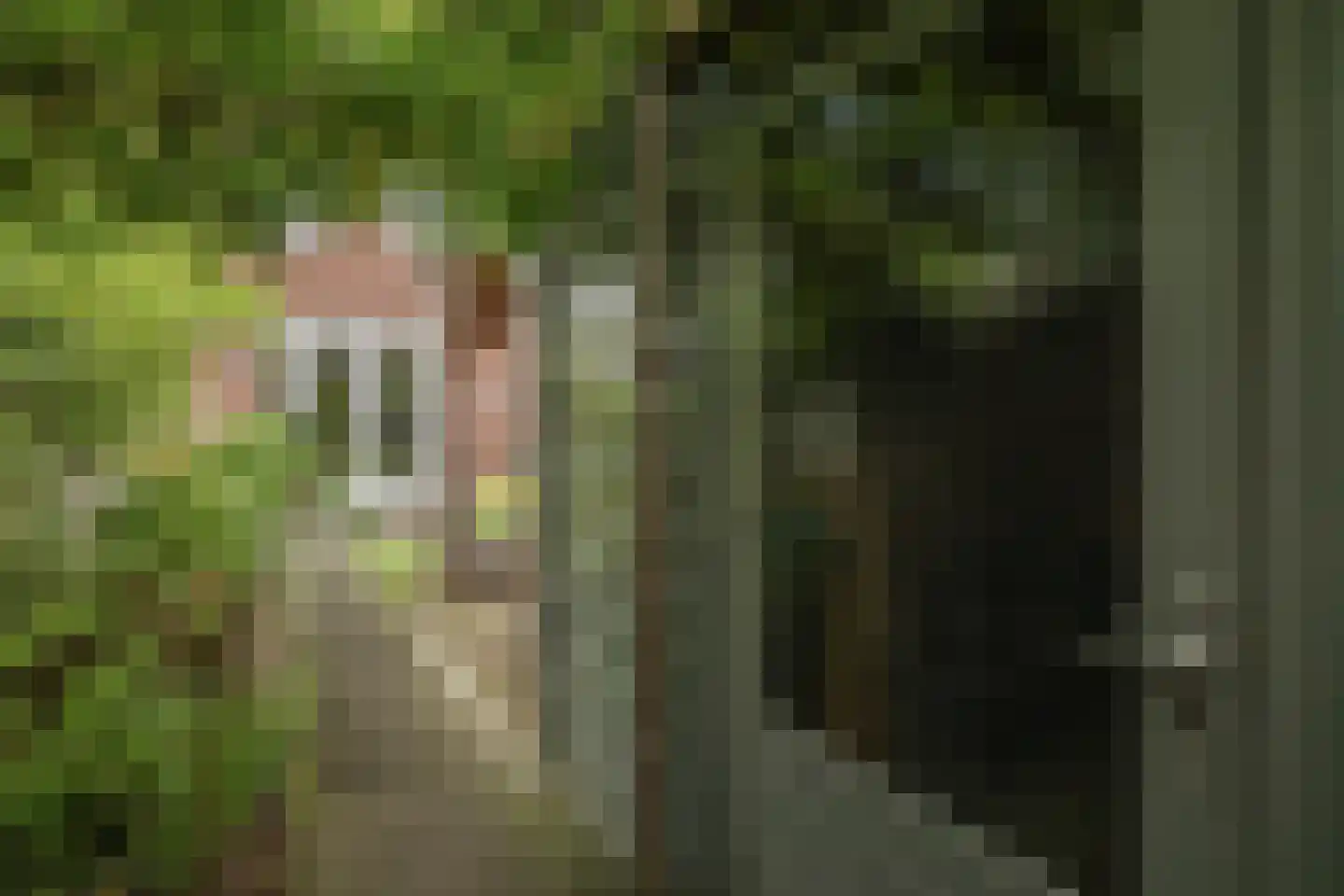 Schipbeekstraat 32 Deventer thumbnail 31