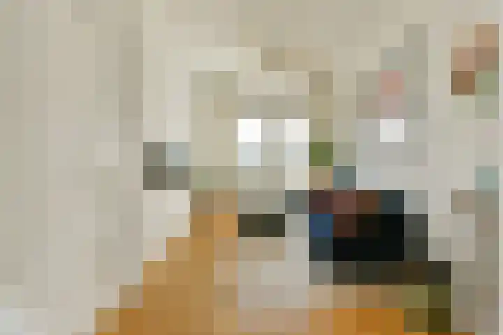 Schipbeekstraat 38 3 Amsterdam thumbnail 8