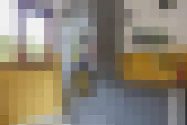 Schipbeekstraat 4 Almere thumbnail 15
