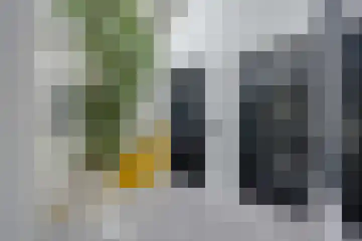 Schipbeekstraat 4 Almere thumbnail 19