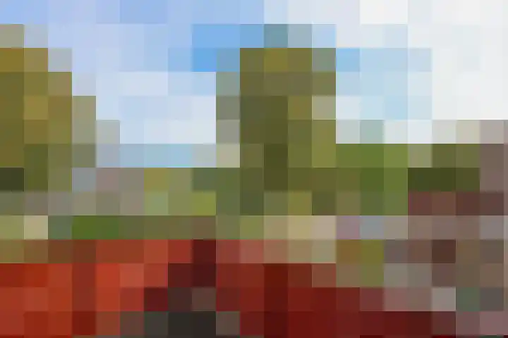Schipbeekstraat 4 Almere thumbnail 32