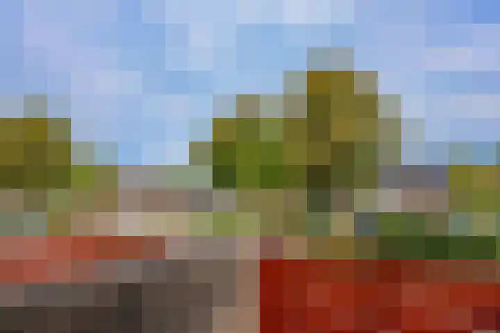 Schipbeekstraat 4 Almere thumbnail 33