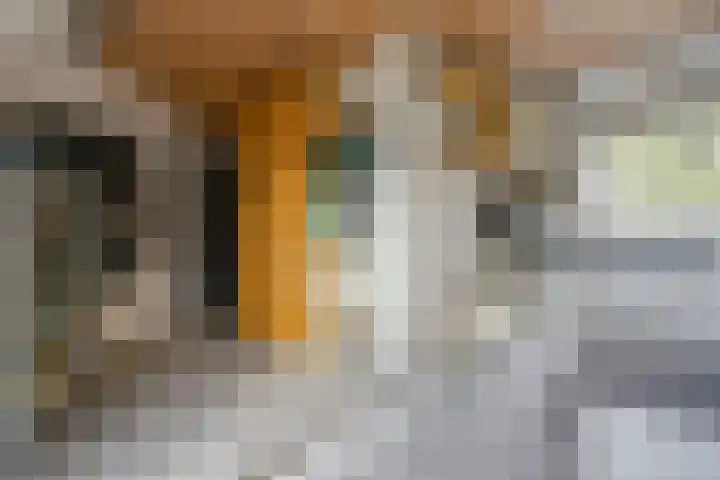 Schipbeekstraat 4 Almere thumbnail 35
