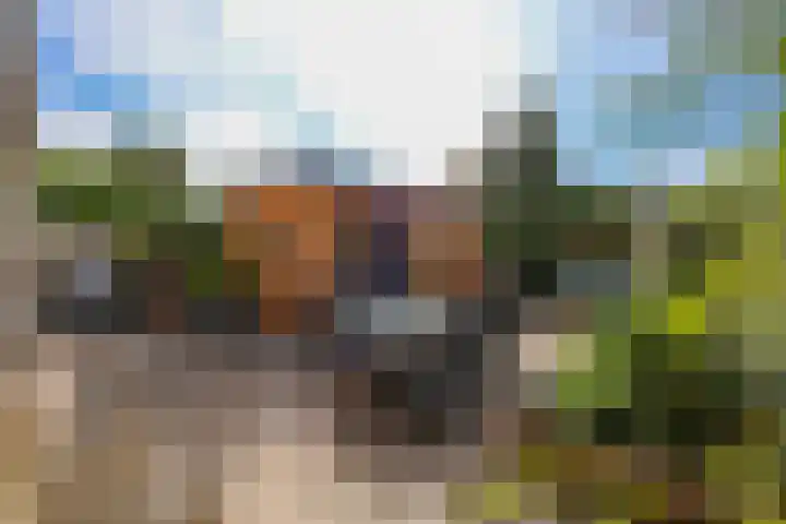 Schipbeekstraat 4 Almere thumbnail 41