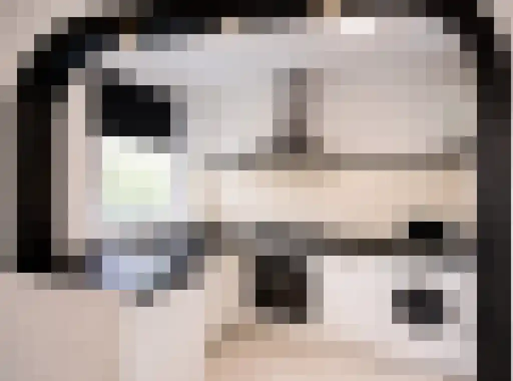 Schipbeekstraat 40 in Dordrecht