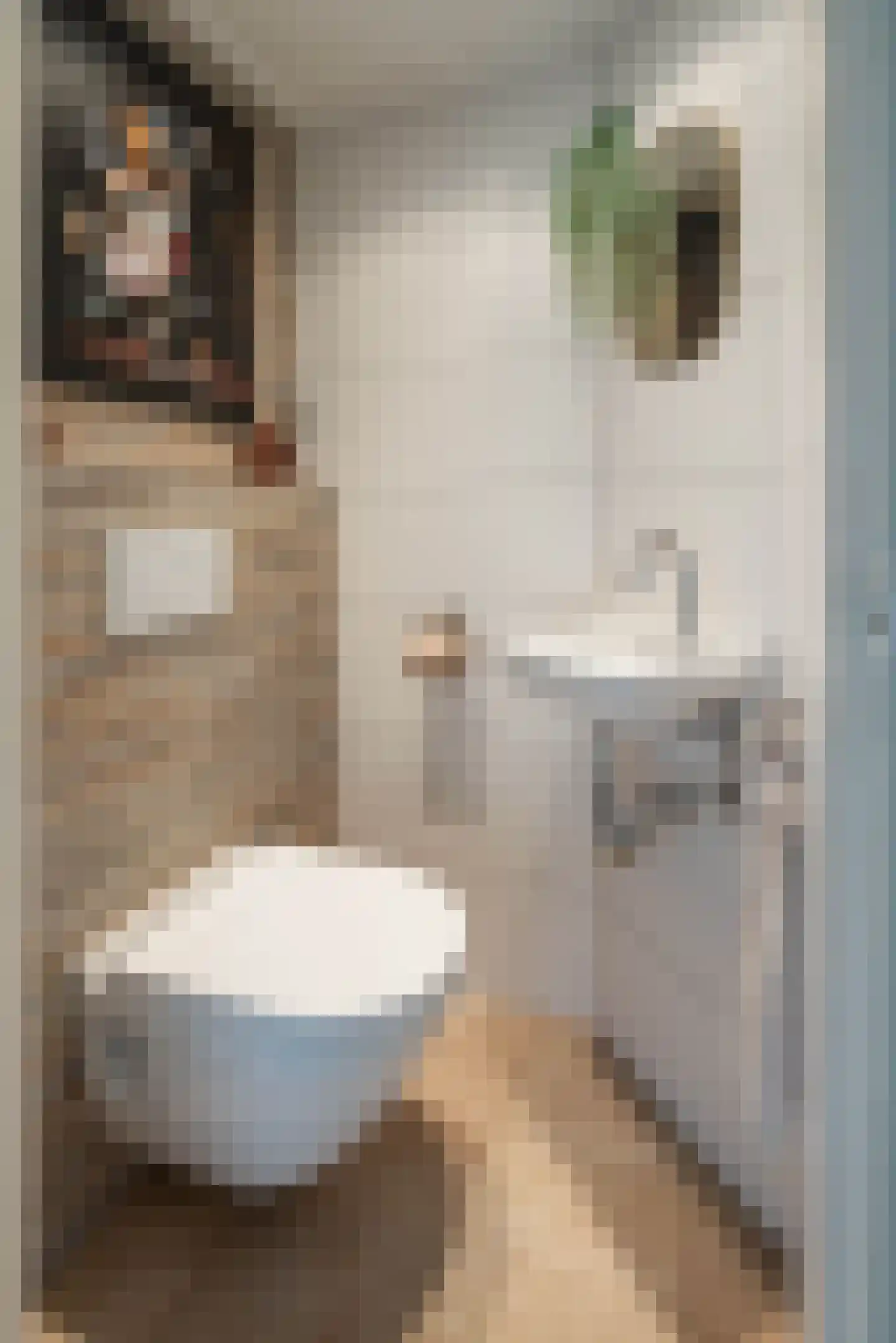 Schipbeekstraat 6 Hengelo thumbnail 13