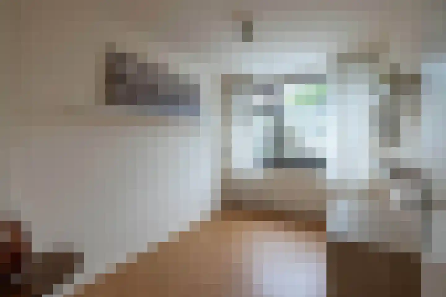 Schipbeekstraat 6 Hengelo thumbnail 14