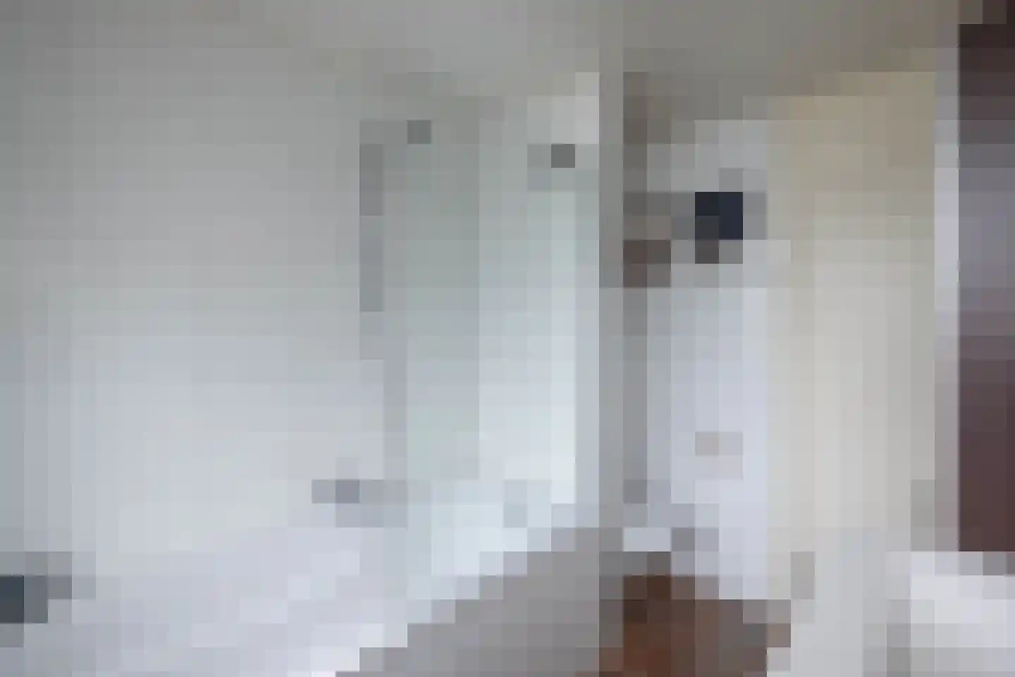 Schipbeekstraat 6 Hengelo thumbnail 19