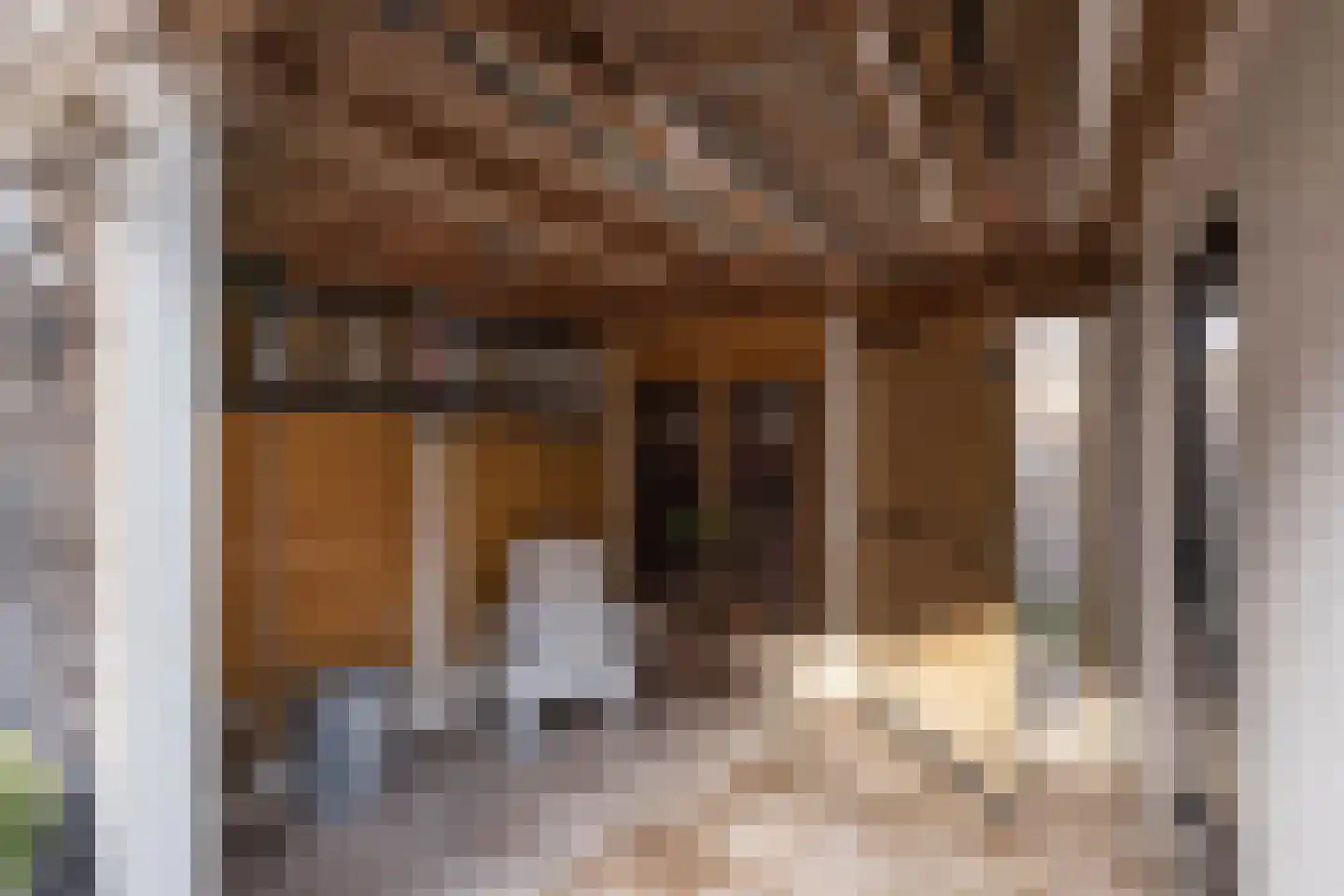Schipbeekstraat 6 Hengelo thumbnail 28