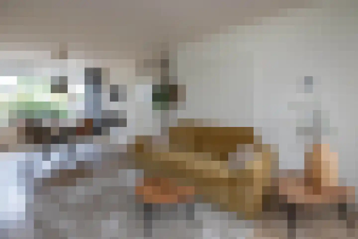 Schipbeekstraat 6 Hengelo thumbnail 8