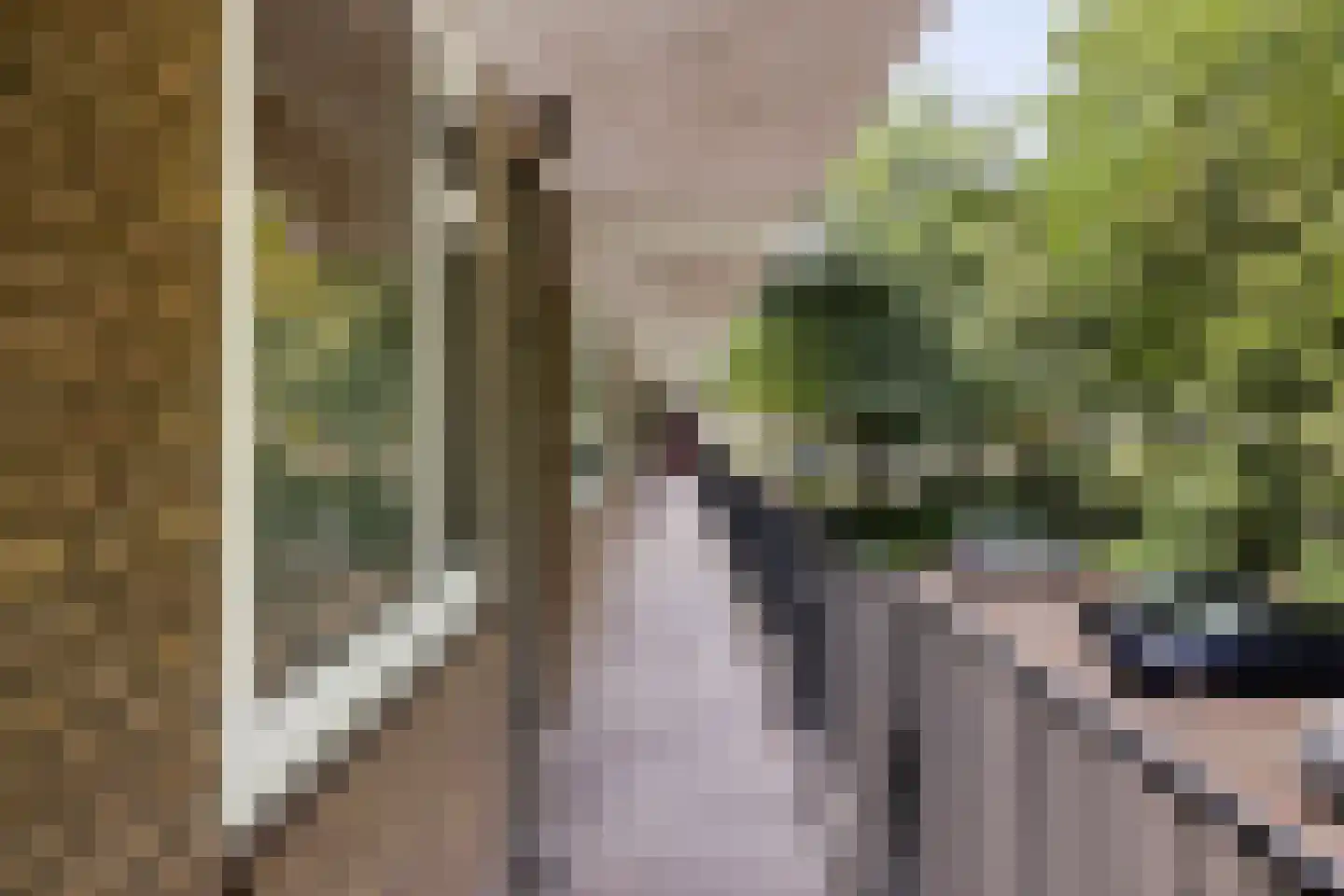 Schipbeekstraat 8 Dordrecht thumbnail 26
