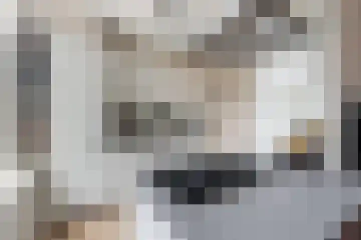 Schipbeekstraat 9 3 Amsterdam thumbnail 7