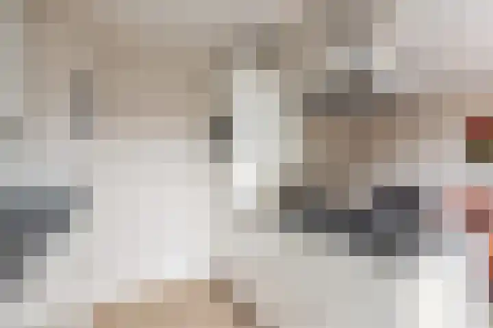 Schipbeekstraat 9 3 Amsterdam thumbnail 8
