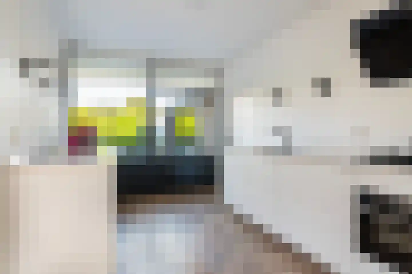 Schipbeeksweg 7 Bathmen thumbnail 10