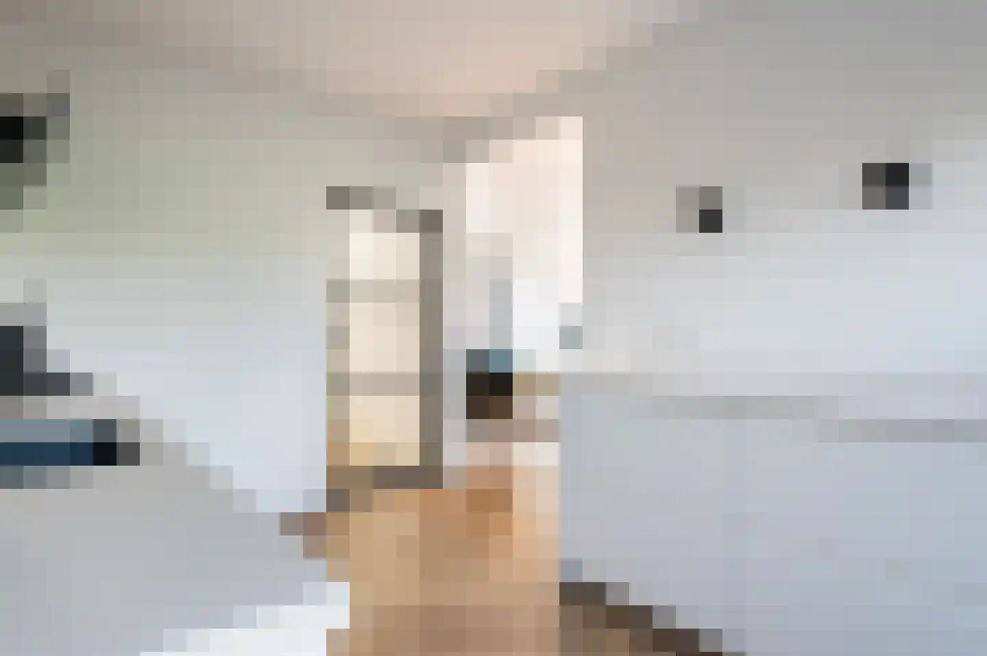 Schipbeeksweg 7 Bathmen thumbnail 12