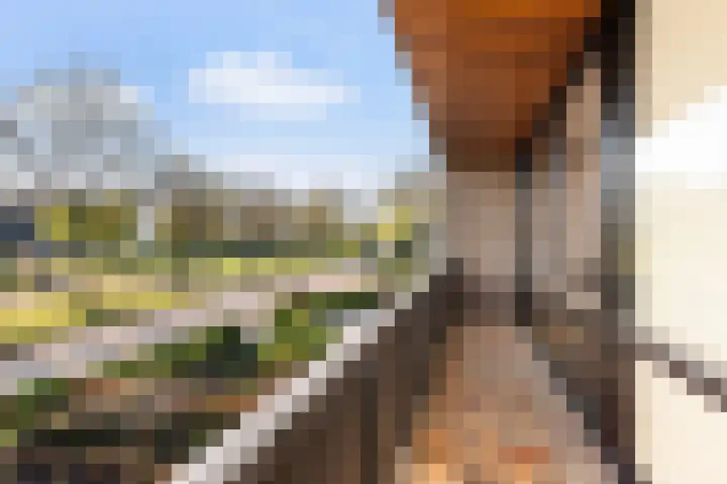 Schipbeeksweg 7 Bathmen thumbnail 21