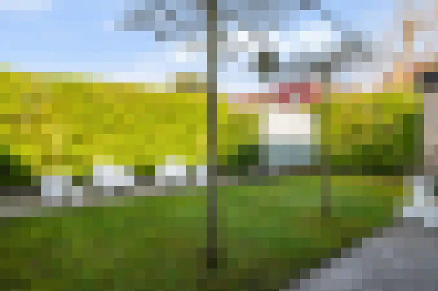 Schipbeeksweg 7 Bathmen thumbnail 27