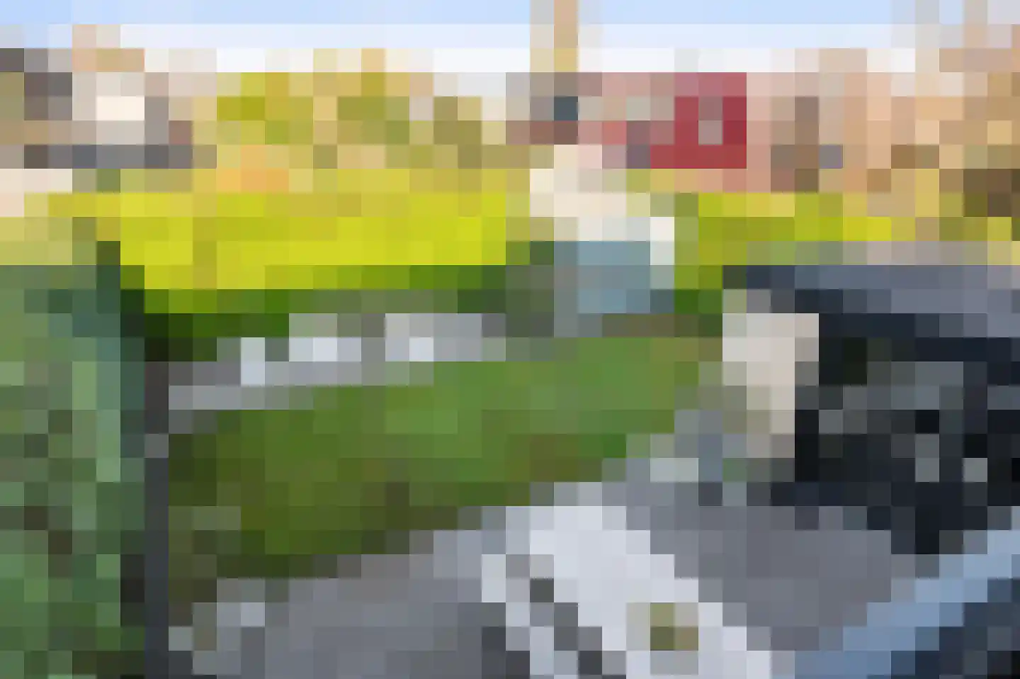 Schipbeeksweg 7 Bathmen thumbnail 30