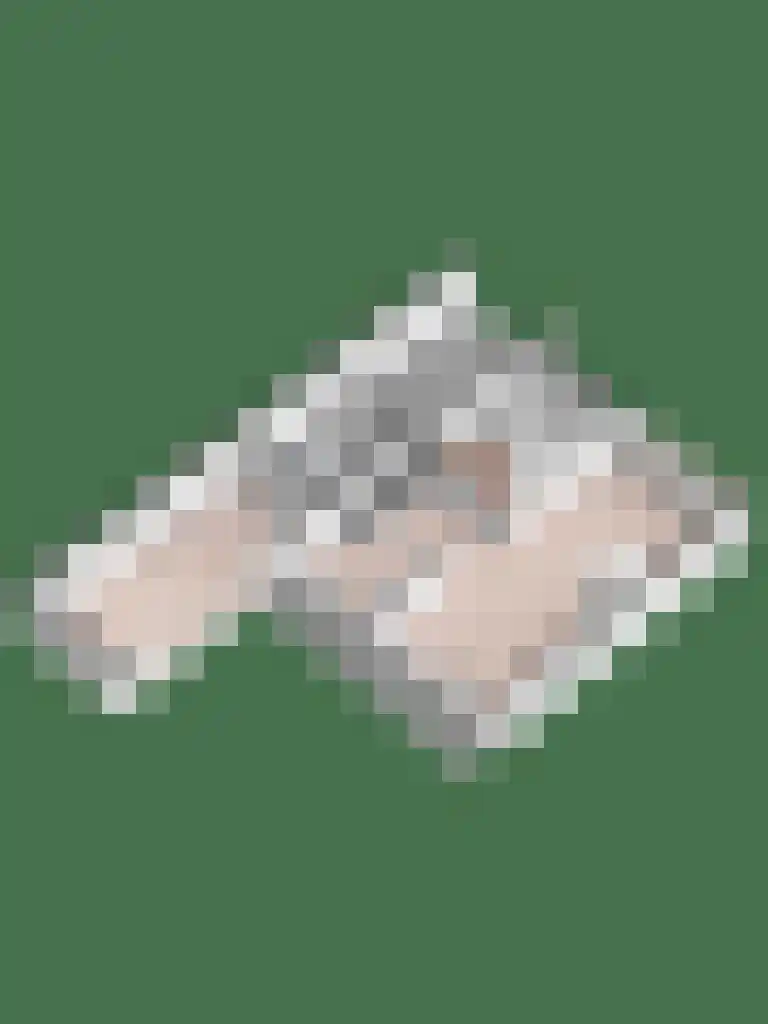 Schipbeeksweg 7 Bathmen thumbnail 34