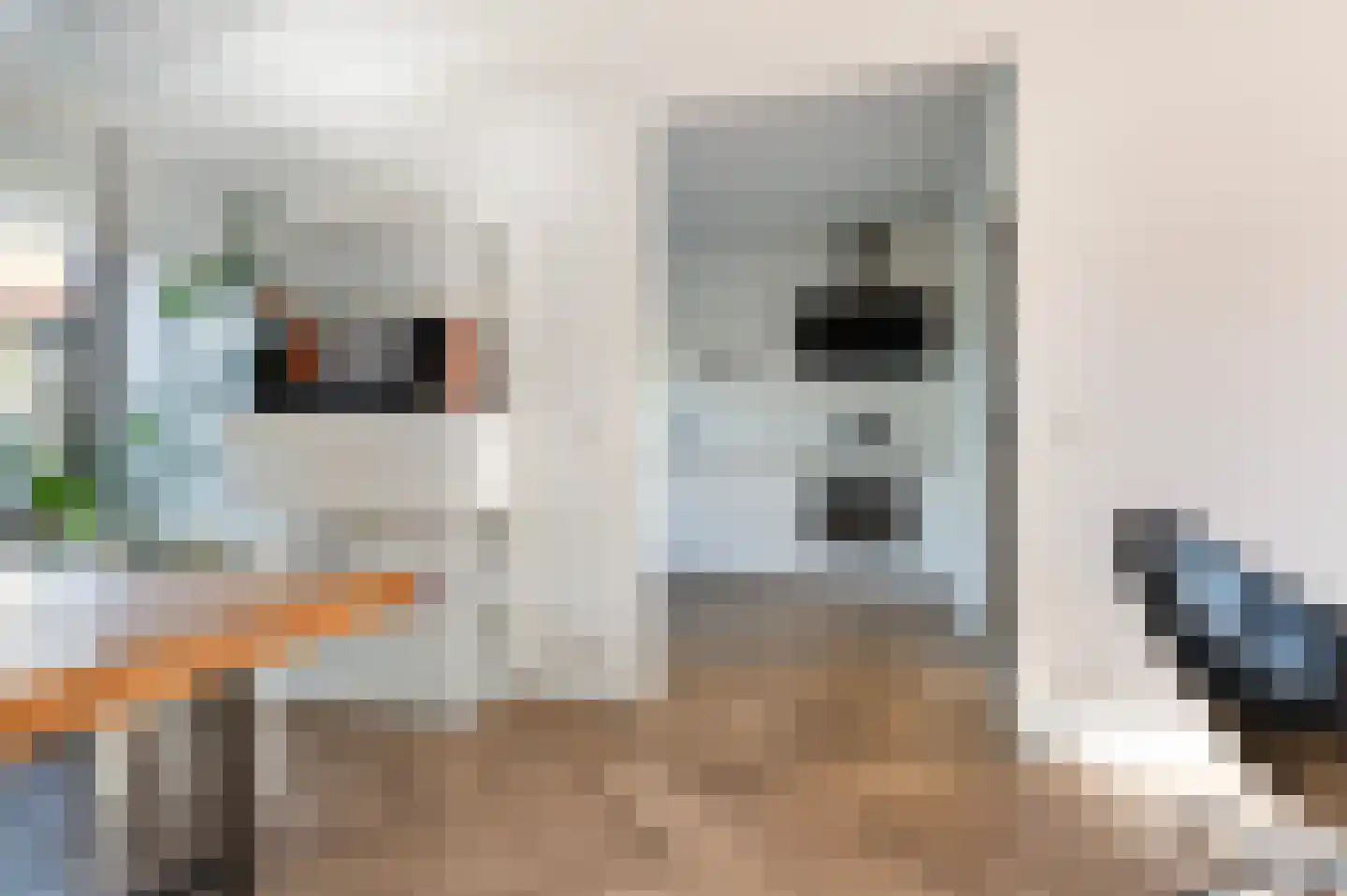 Schipbeeksweg 7 Bathmen thumbnail 8