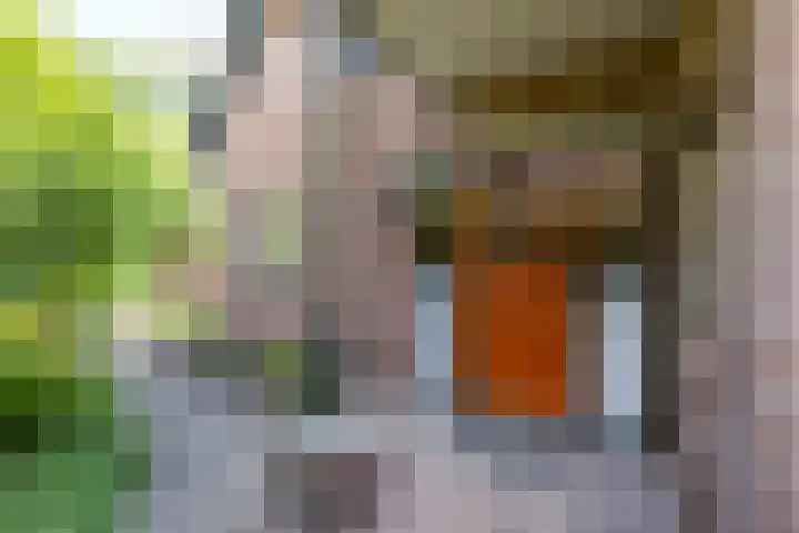 Schipborgerweg 101 Zuidlaren thumbnail 10