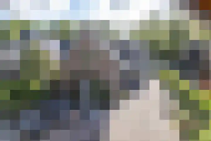 Schipborgerweg 101 Zuidlaren thumbnail 14