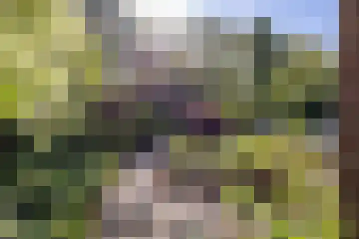 Schipborgerweg 101 Zuidlaren thumbnail 16