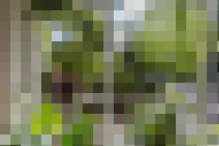 Schipborgerweg 101 Zuidlaren thumbnail 17