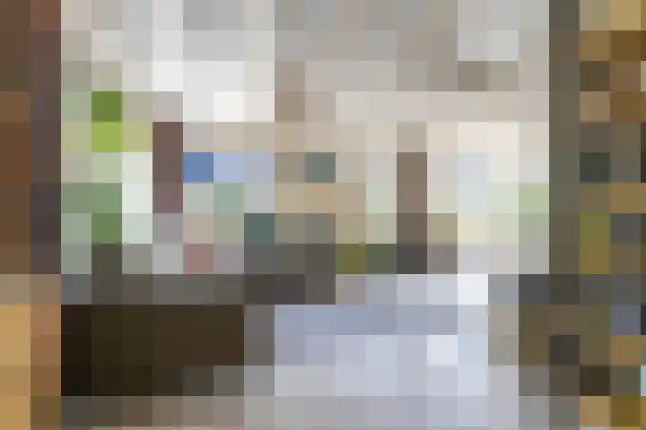 Schipborgerweg 101 Zuidlaren thumbnail 27