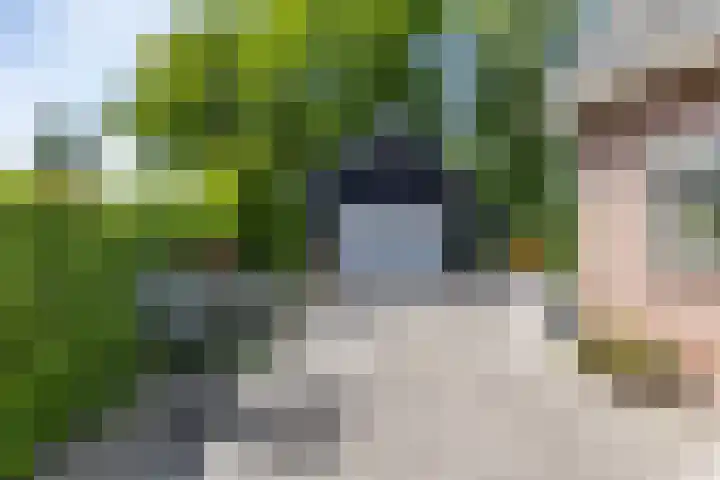 Schipborgerweg 101 Zuidlaren thumbnail 37