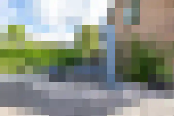 Schipborgerweg 101 Zuidlaren thumbnail 4
