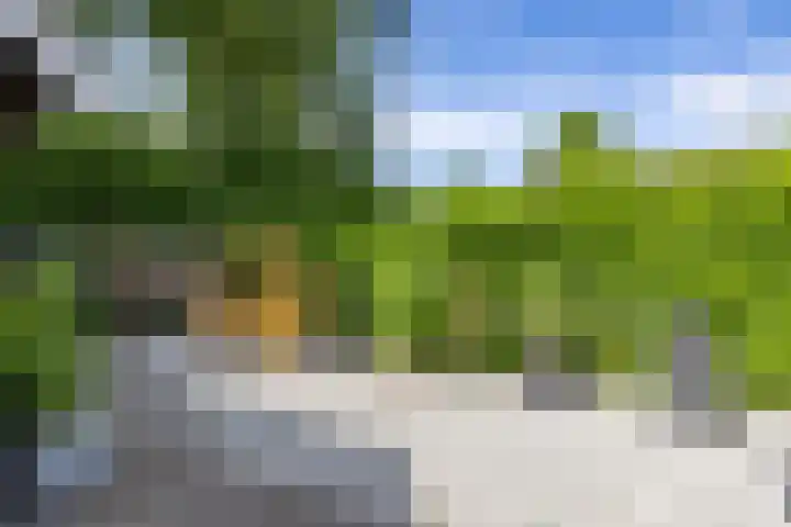 Schipborgerweg 101 Zuidlaren thumbnail 41