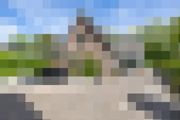 Schipborgerweg 101 Zuidlaren thumbnail 42