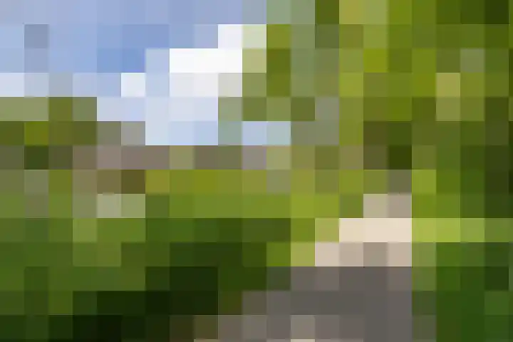 Schipborgerweg 101 Zuidlaren thumbnail 6