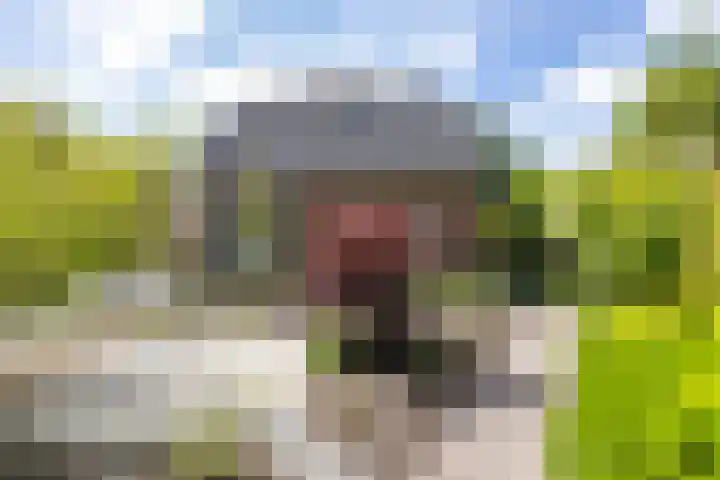 Schipborgerweg 101 Zuidlaren thumbnail 8
