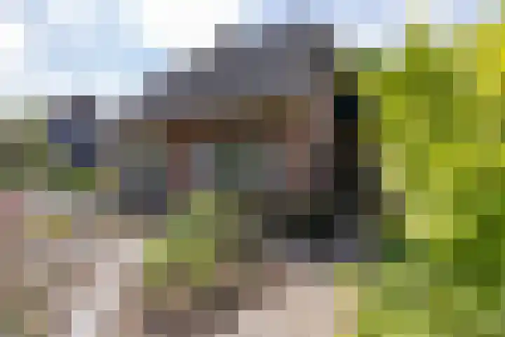 Schipborgerweg 101 Zuidlaren thumbnail 9