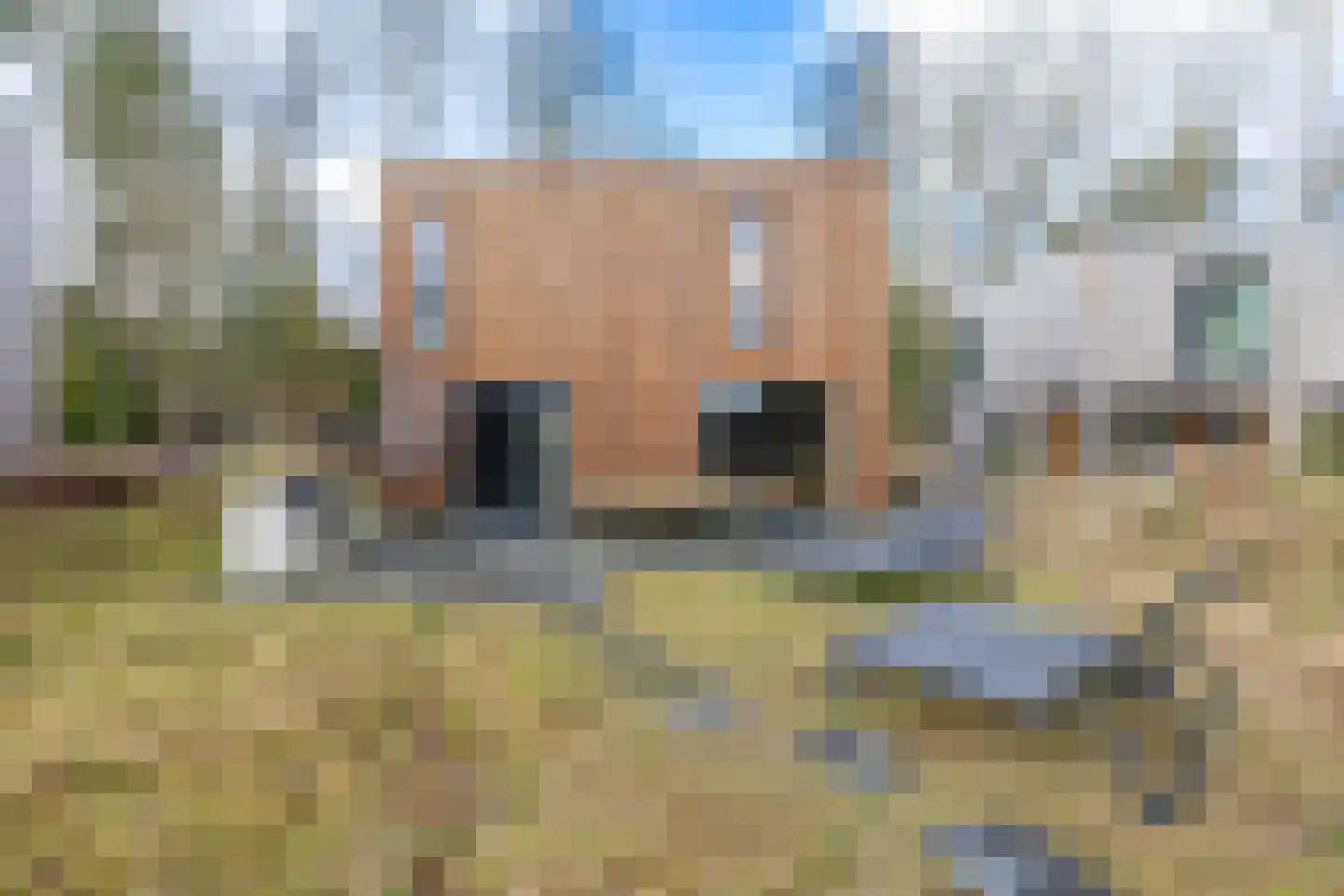 Schipborgerweg 19 24 Zeegse thumbnail 10