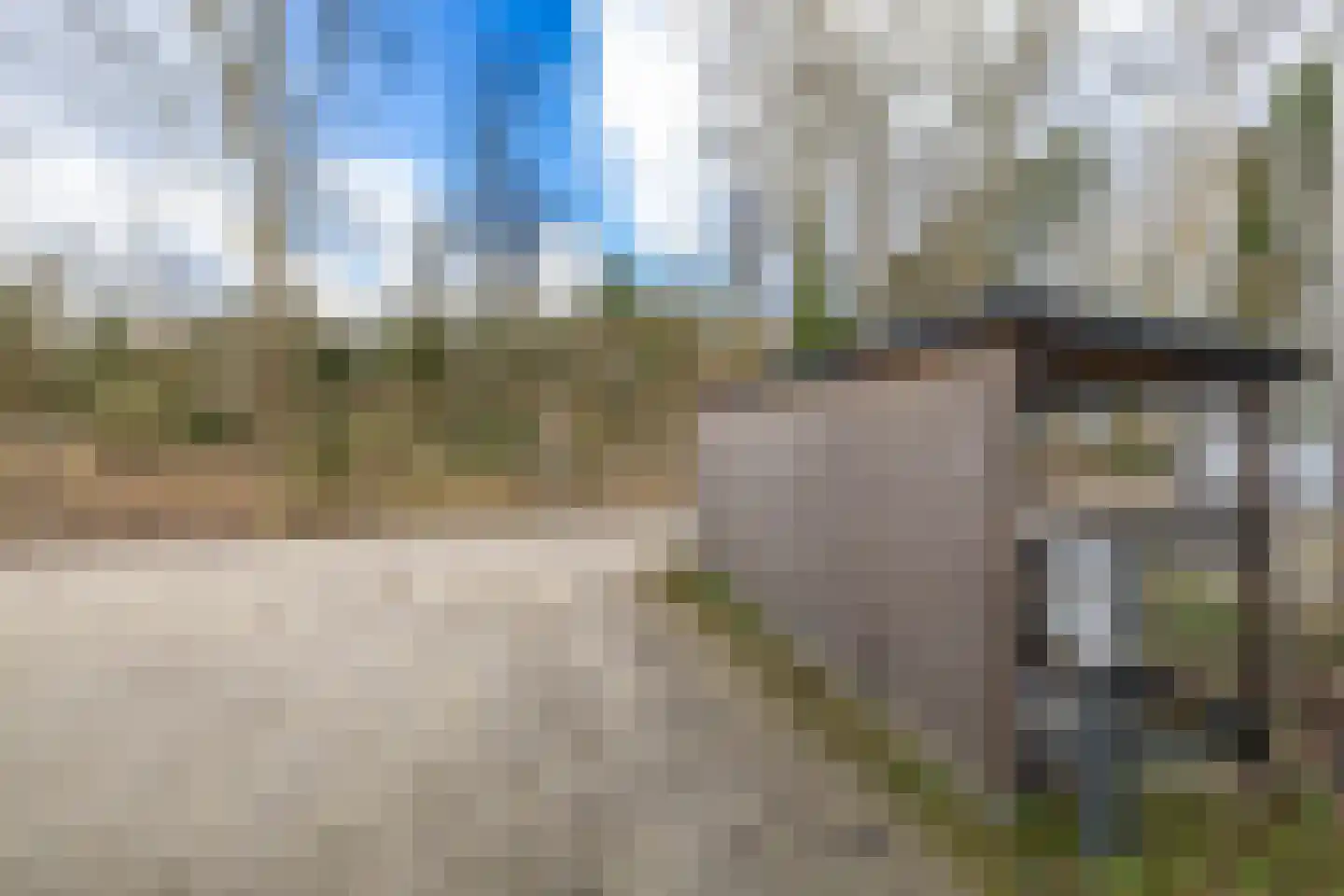 Schipborgerweg 19 24 Zeegse thumbnail 13