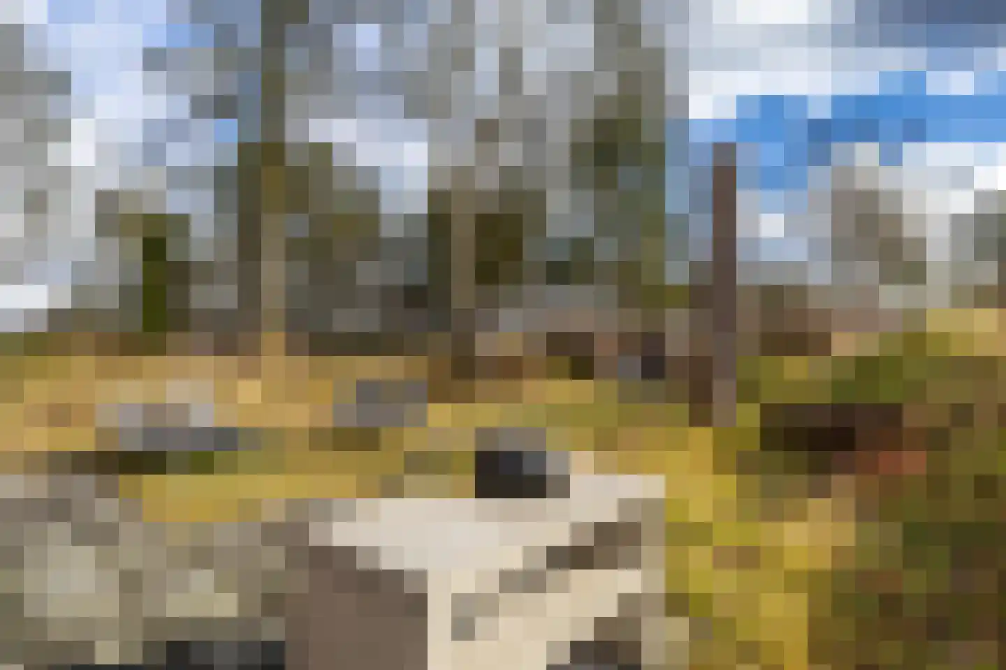 Schipborgerweg 19 24 Zeegse thumbnail 6