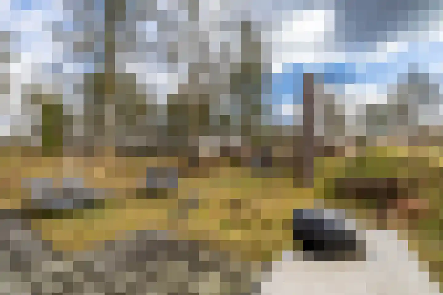 Schipborgerweg 19 24 Zeegse thumbnail 7