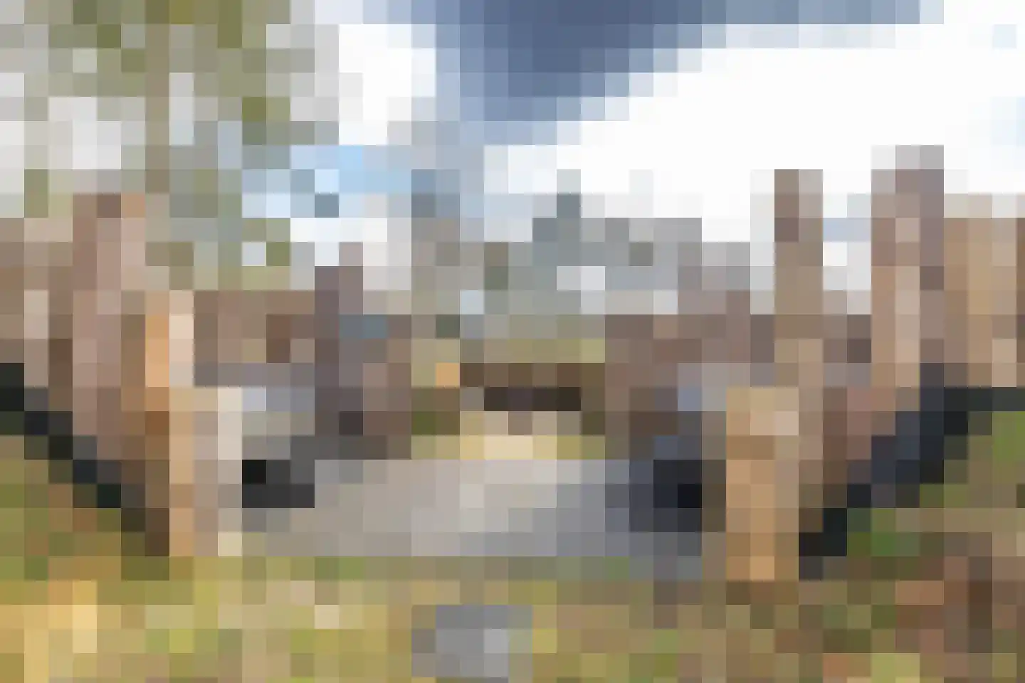 Schipborgerweg 19 24 Zeegse thumbnail 8