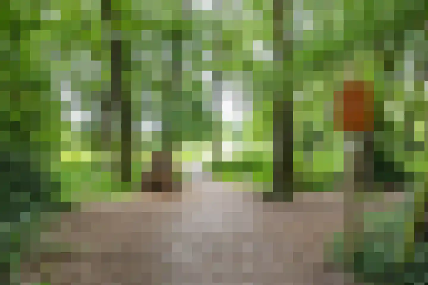 Schipborgerweg 19 28 Zeegse thumbnail 47