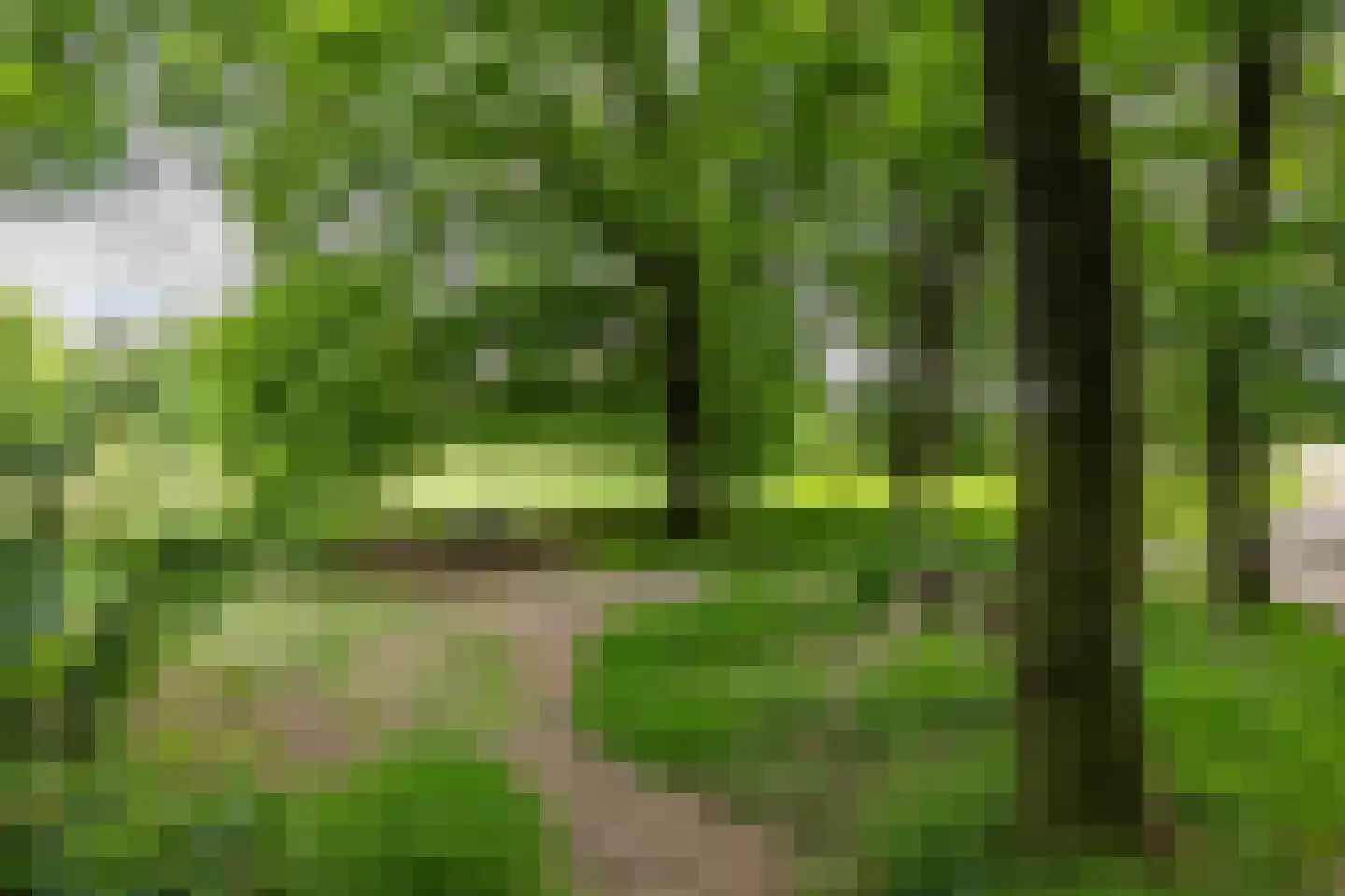 Schipborgerweg 19 28 Zeegse thumbnail 49