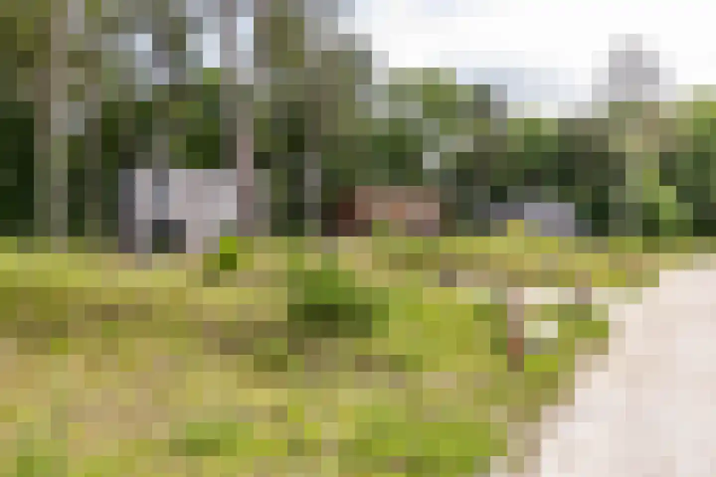 Schipborgerweg 19 28 Zeegse thumbnail 6